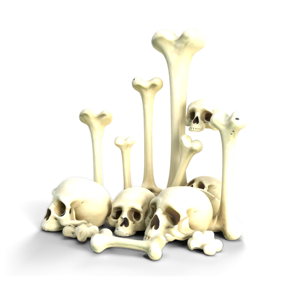 骨の庭の 3D モデル(斜め前)