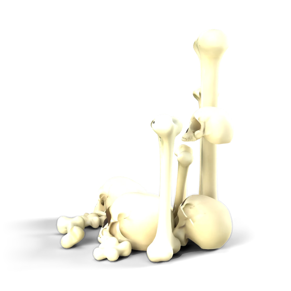 骨の庭の 3D モデル(横)