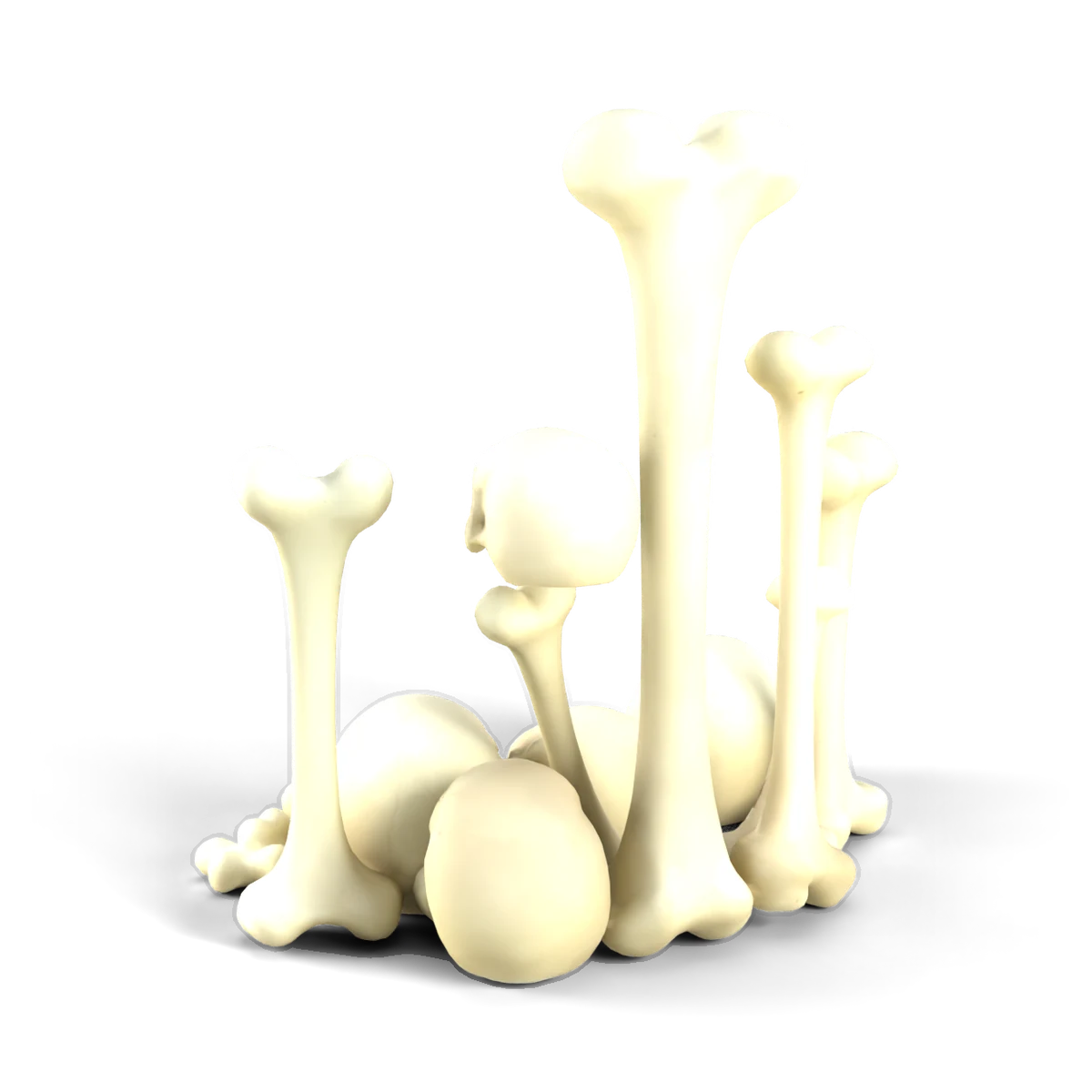 骨の庭の 3D モデル(斜め後ろ)