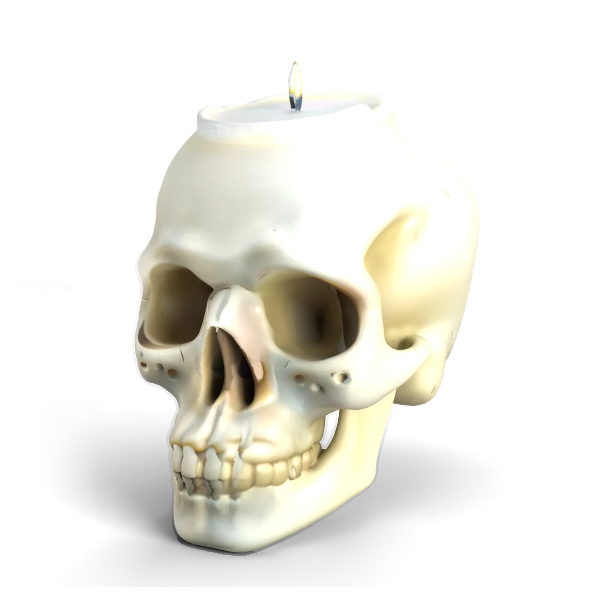 ガイコツろうそくの 3D モデル(斜め前)