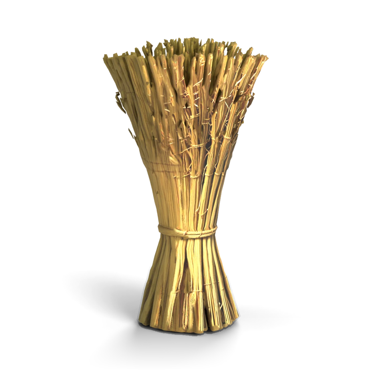 Straw Bundle 3D model (angle)