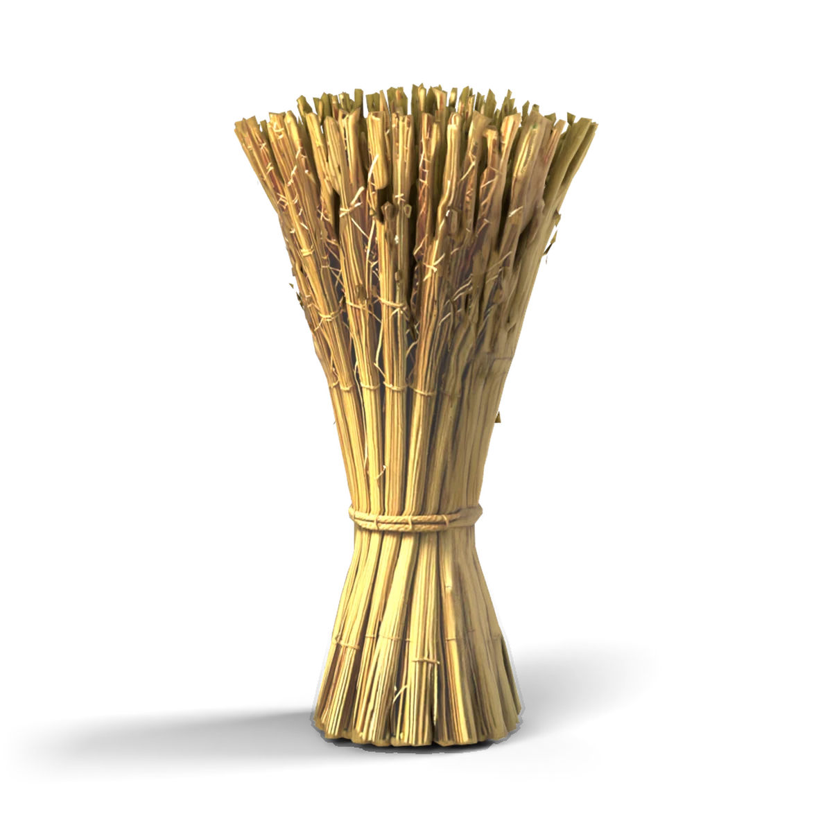Straw Bundle 3D model (side)